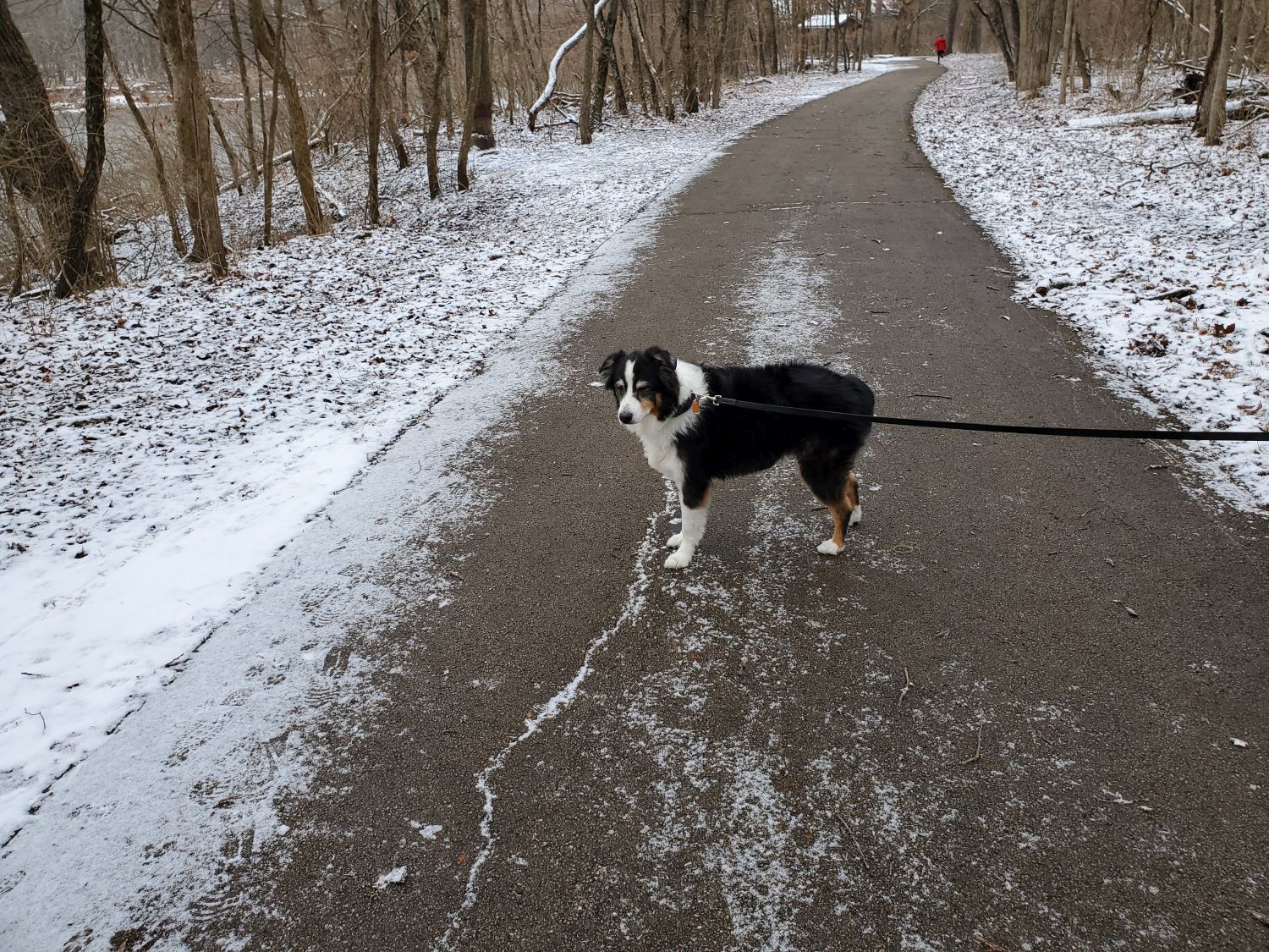 Kankakee River State Park 